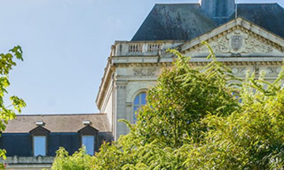 vue palais